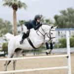 A jockey races their horse over a jump.