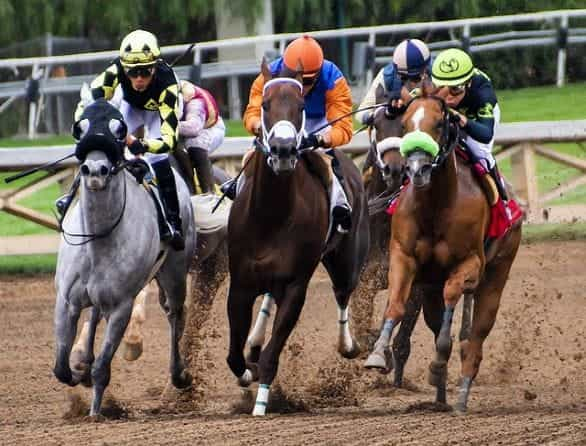 Five jockeys in different colored outfits racing their horses on a race track.