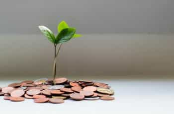 A small green plant sprouting out of a pile of coins.